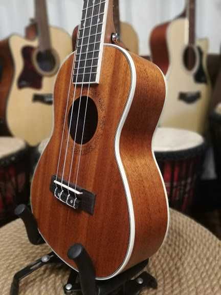 SEGOVIA SE-10C ukulele koncertowe SE10c/NT