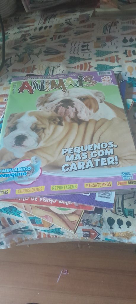 Coleção de revistas novas