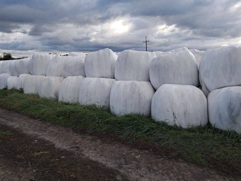 Sprzedam sianokiszonkę