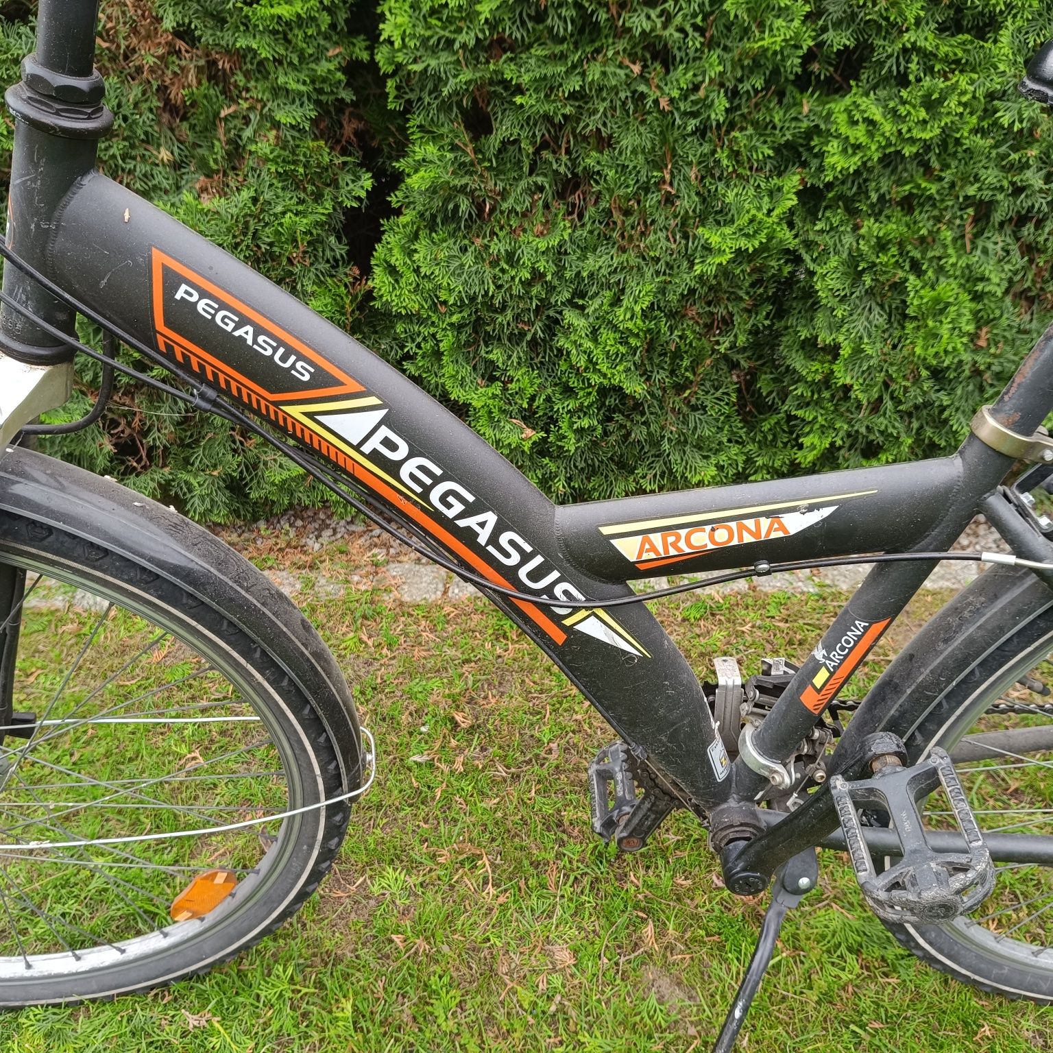 Rower Pegasus 26