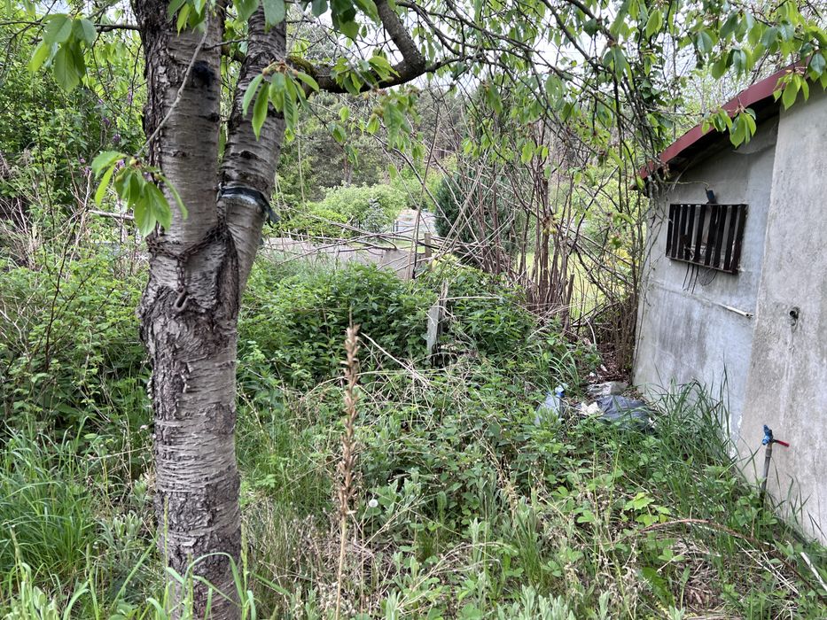 Działka całoroczna ROD sawanna Ochla Zielona Góra