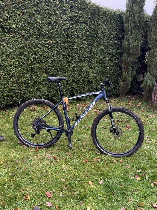 Rower ROMET Rambler R9.3 CS (koła 29, rama L)