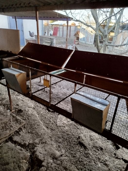 Металеві клітки для кроликів, птахів.