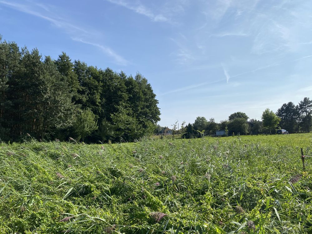 Wyjątkowa działka Żory, Rogoźna ul. Łąkowa bezpośrednio