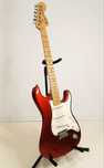 Fender Stratocaster American Special