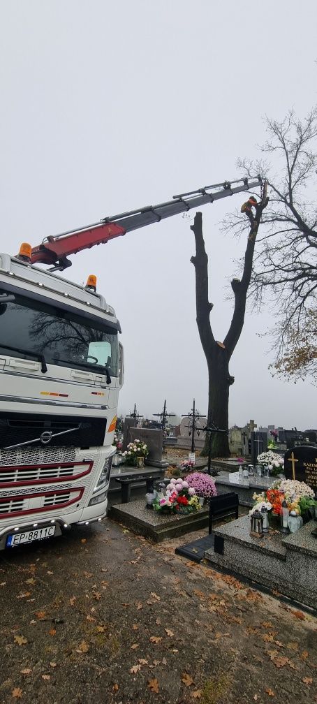 Usługi transportowe transport  HDS dźwig , montaż konter ładowarka