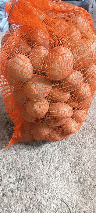 Ziemniaki od rolnika