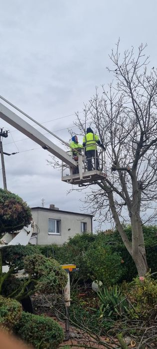 Wycinka drzew , Koszenie traw nieużytków mielenie rozdrabnianie gałęzi