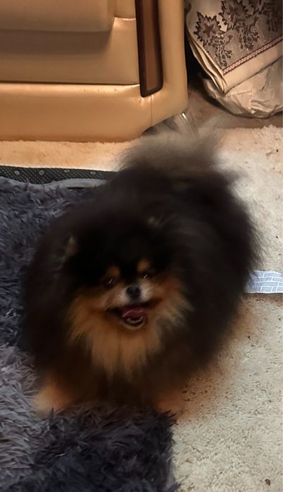 Супер красень чекае дам