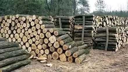 Дрова Дуб Граб Акація