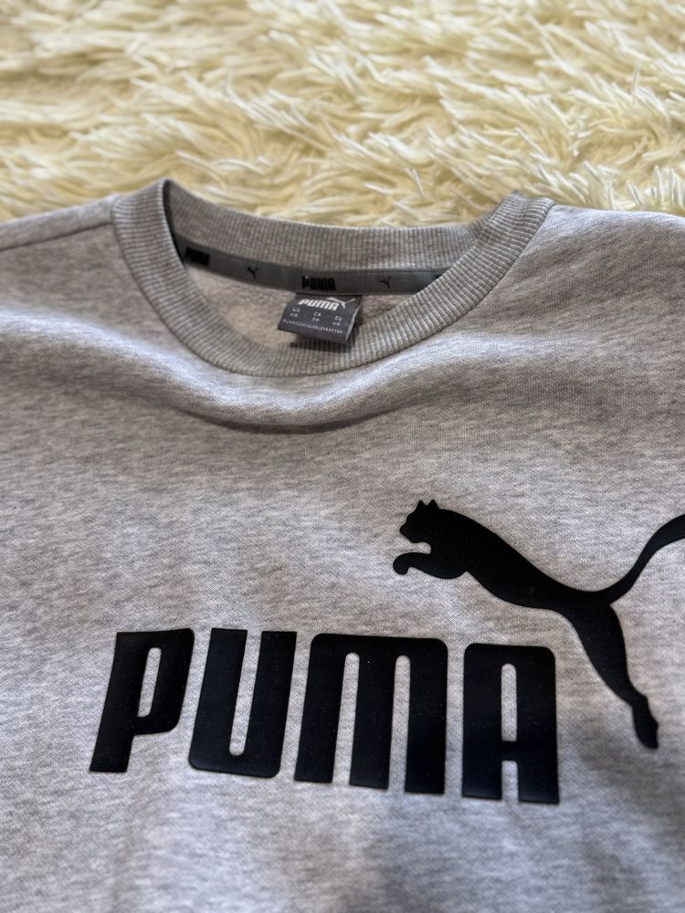 Костюм ,реглан Puma +штаны