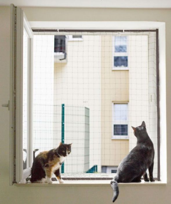 Siatka dla kota siatka balkonowa, zabezpieczenie balkonu przed ptakami