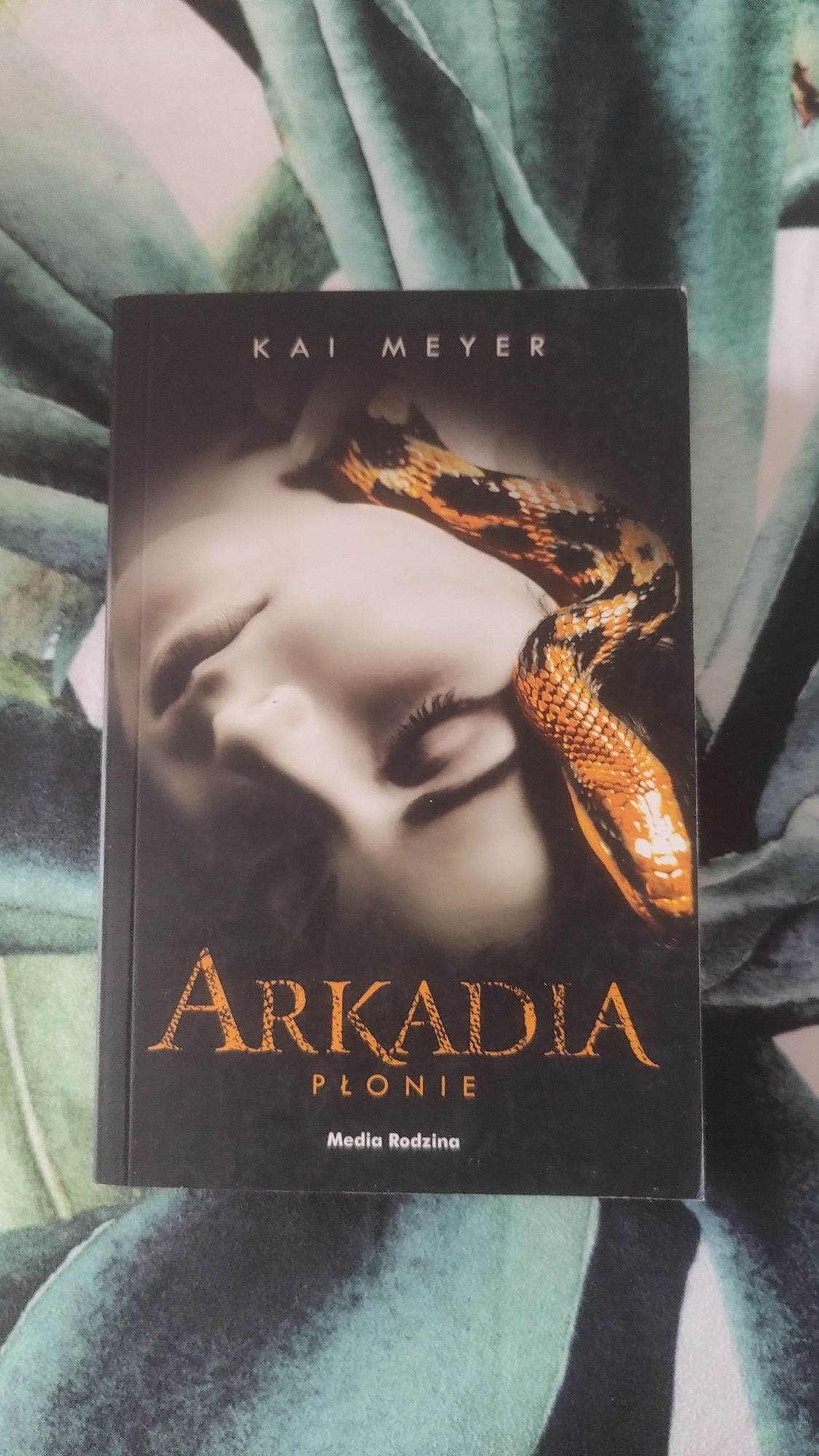 Kai Meyer Arkadia płonie