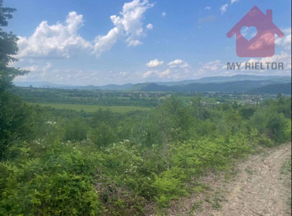 Продаж Ділянки Туря - Пасіка