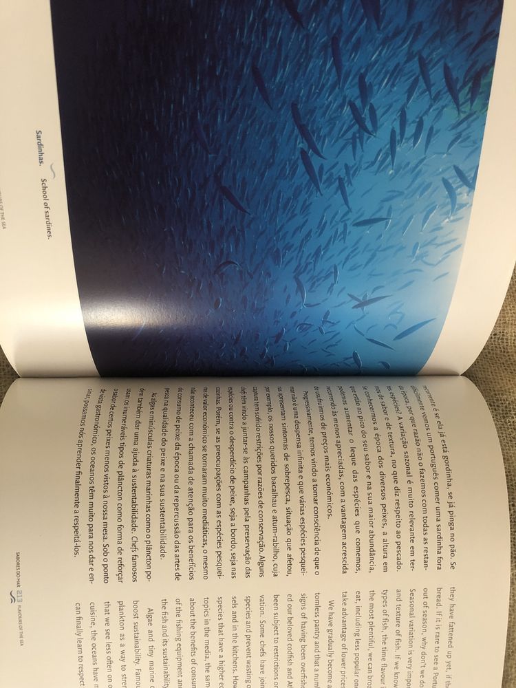 Livro” Do Mar Oceano ao Mar Português “