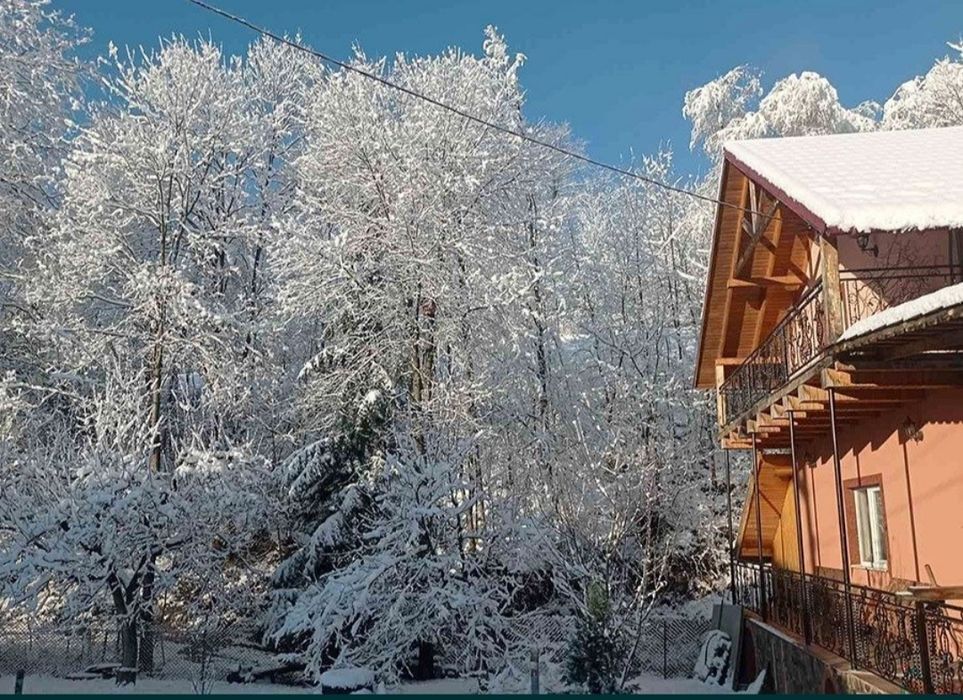 Відпочинок в Карпатах