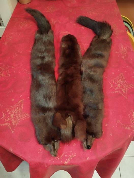 Norki futro kołnierz na szyję