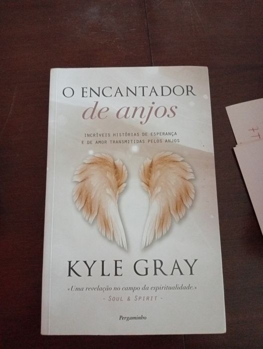 Livro o encantador de anjos
