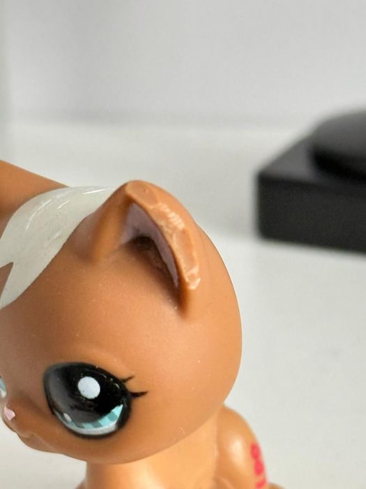 Lps shorthair littlest pet shop pop