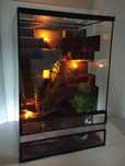 Terrarium dla gekona orzęsionego, jaszczurki, TW52MLR, AquaWaves