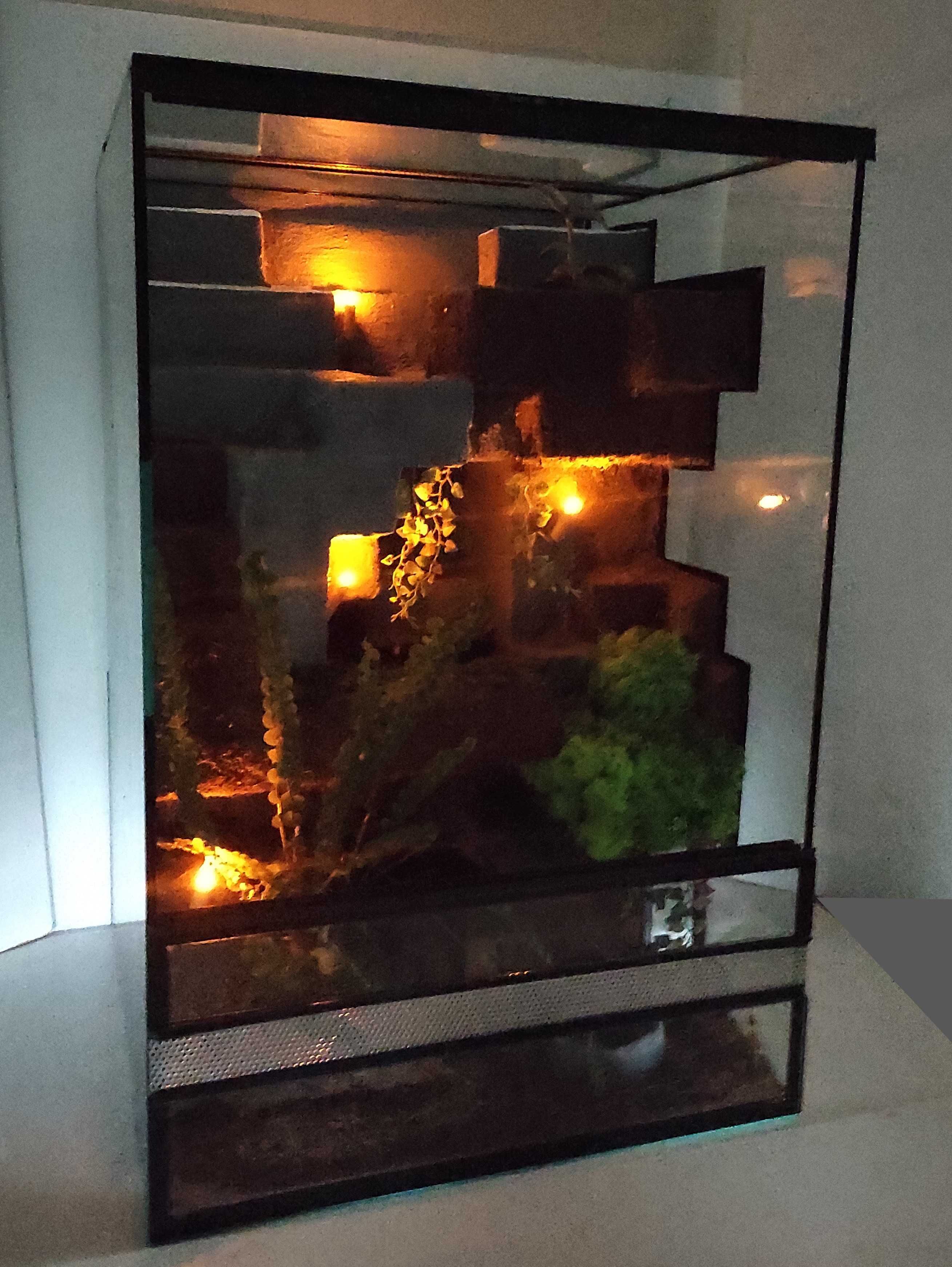 Terrarium dla gekona orzęsionego, jaszczurki, TW52MLR, AquaWaves