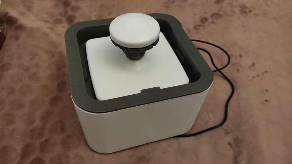 Fontanna dla kota, fontanna dla psa