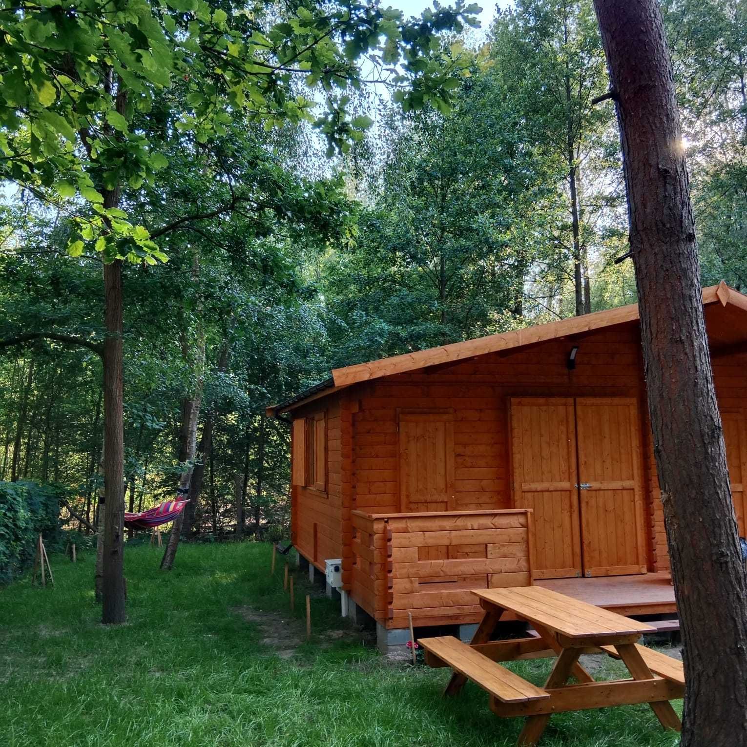 Domek Boszkowo Letnisko do wynajęcia / nocleg