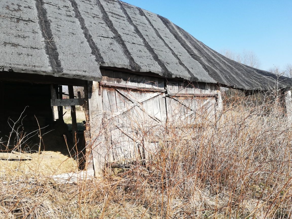 Stara stodoła drewniana do rozbiórki