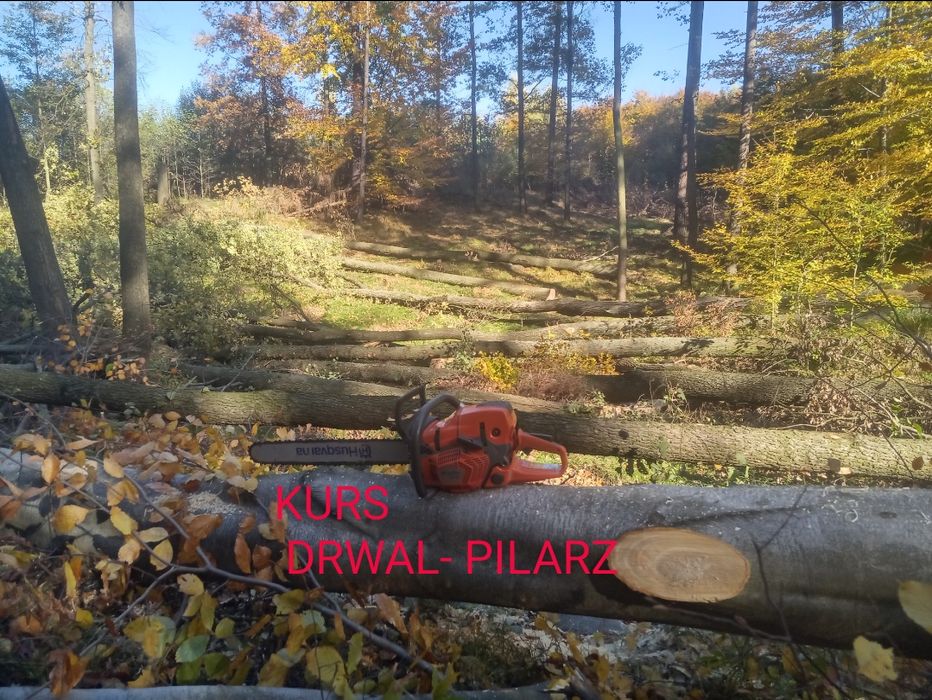 Kurs drwal- pilarz, szkolenie z obsługi pilarki