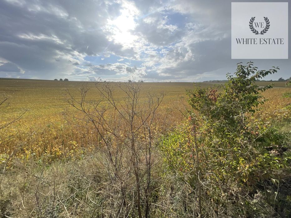 Продаж земельної ділянки с. Підгородне