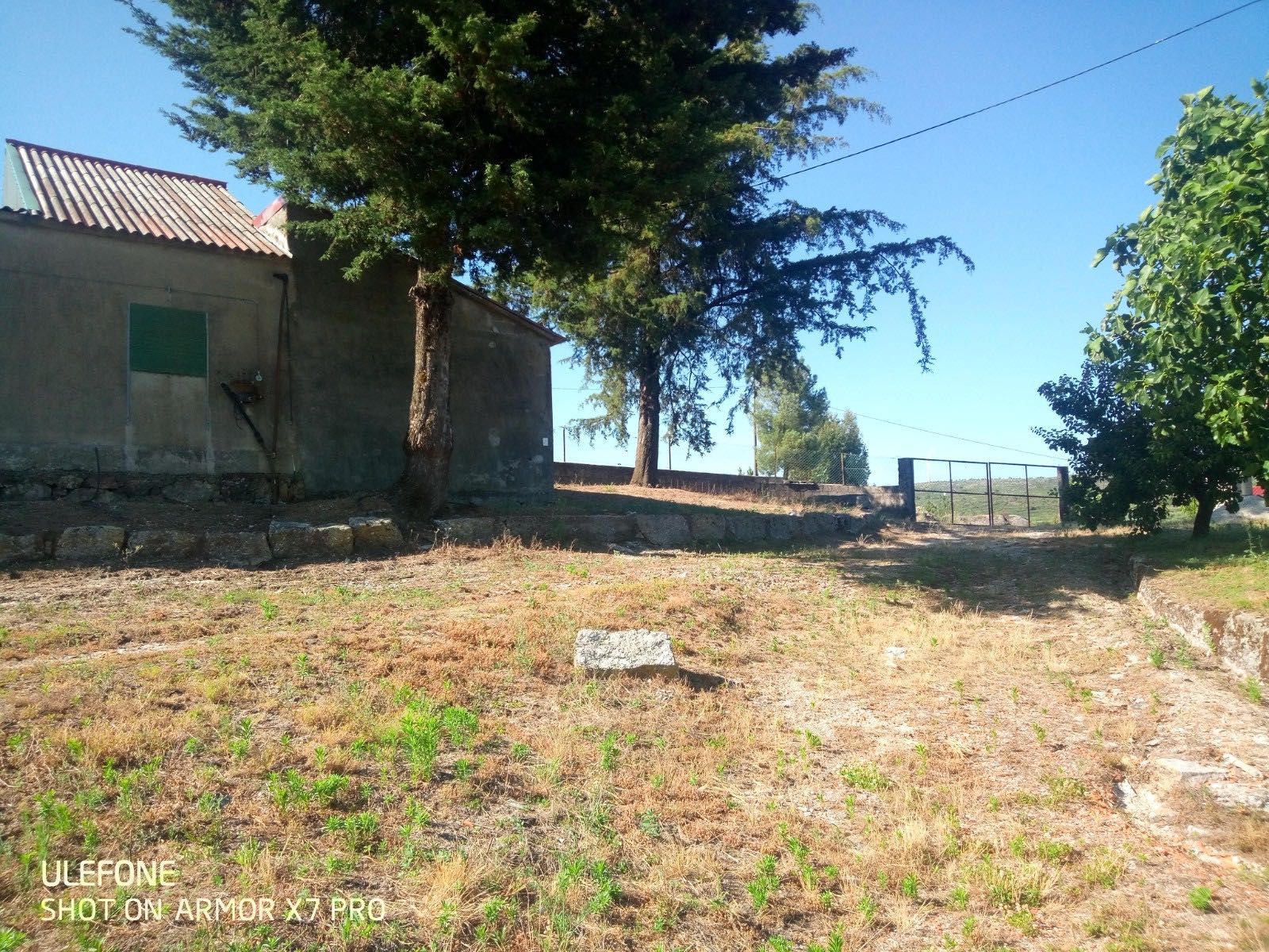 Vendo Nucleo/Pavilhões de Aviários com Terreno