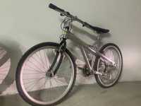 Bicicleta Esmaltina