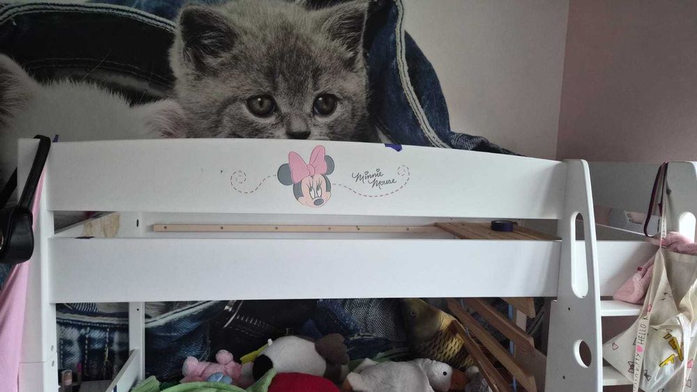 Meblik łóżko piętrowe Szczecin oddam za darmo