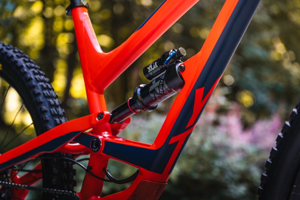 YT CAPRA 29 XL 2019