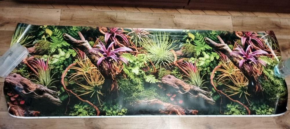 Akwarystyka ąkcesoriak