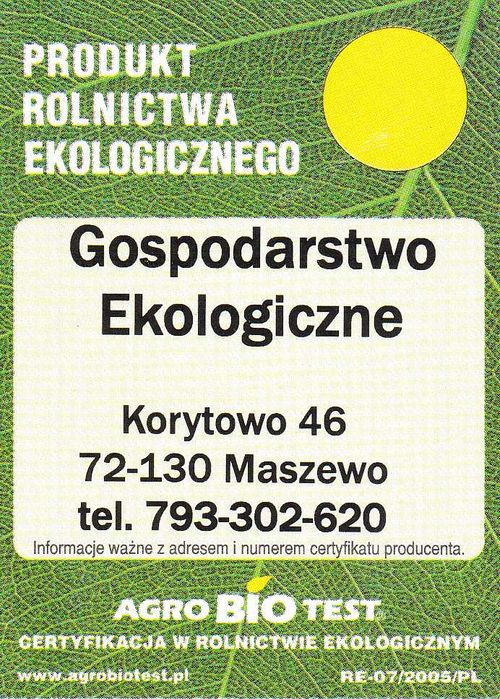 sadzonki leszczyny wielkoowocowej