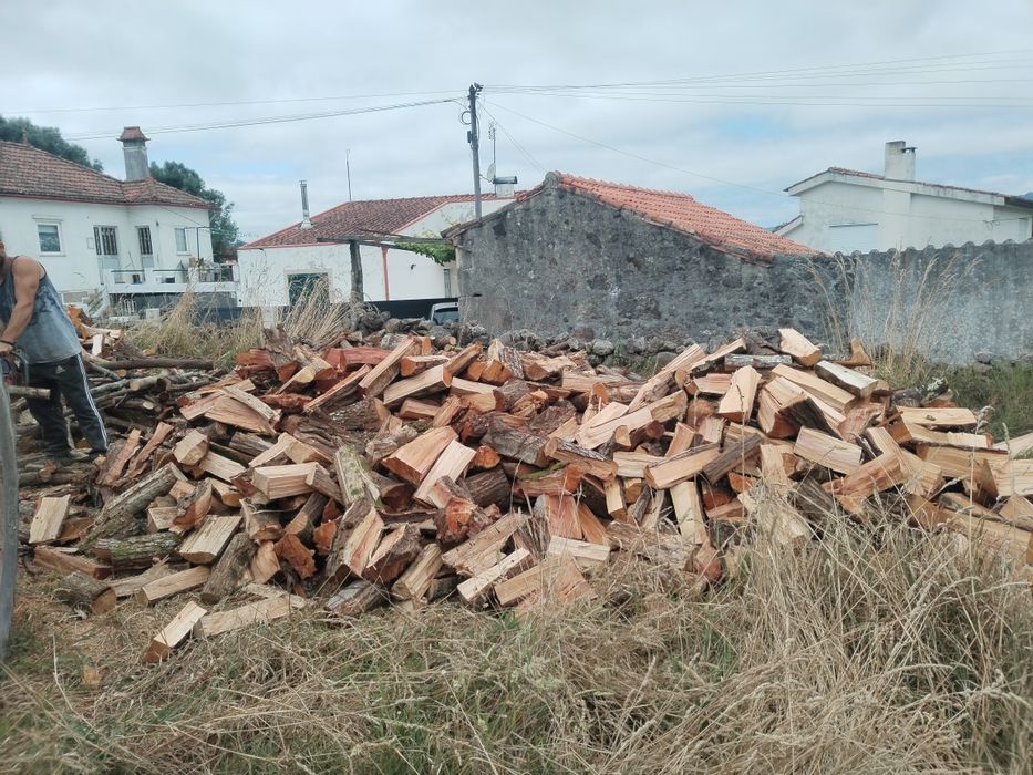 Vendo lenha seca