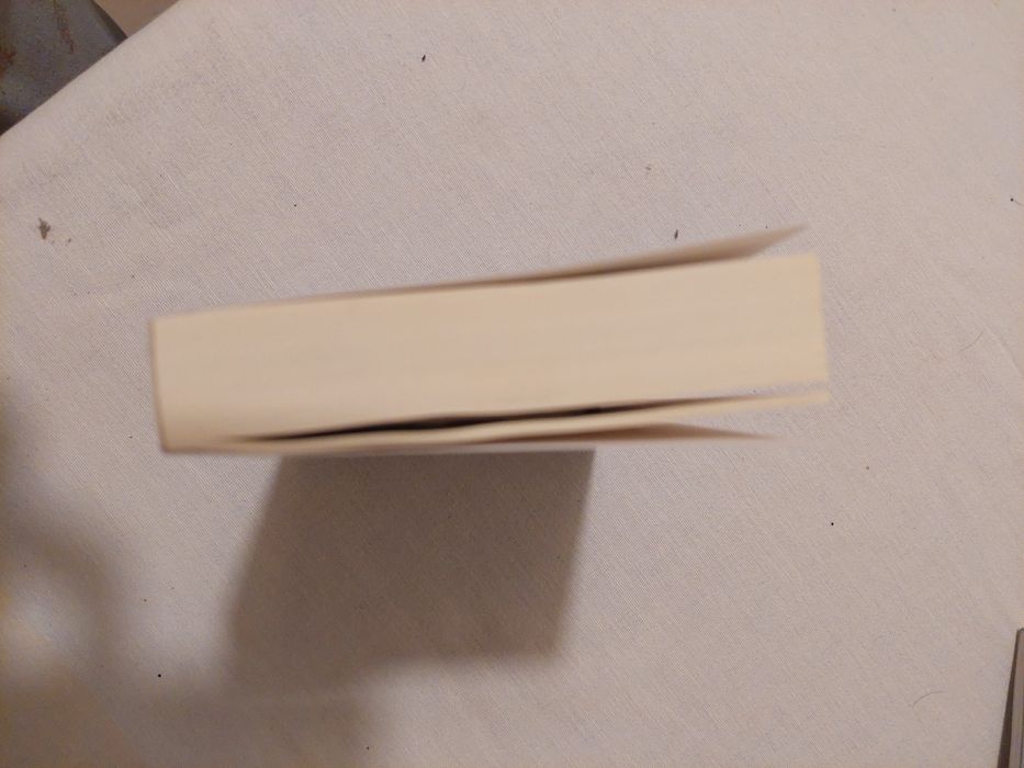 Livro "O anjo caído"