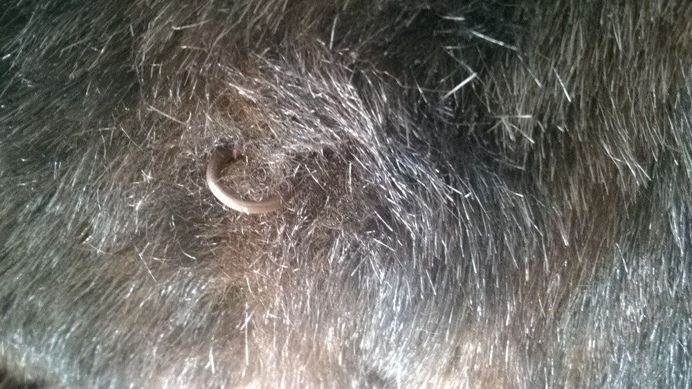 Futro sztuczne Elise