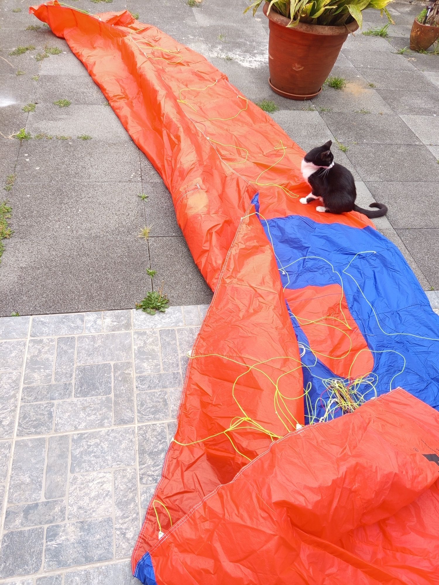 Kite foil 8 m novo