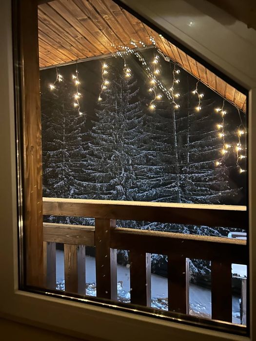 Відпочинок у Карпатах котедж на 6-9 людей