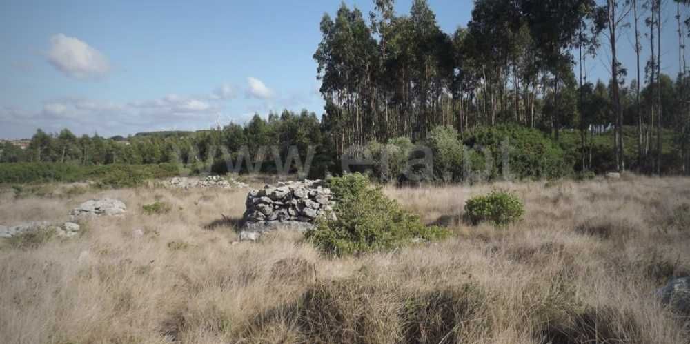 Vendo Terreno na Lorinhã com 7.480m2 - a 9 kms da praia da Areia Branca