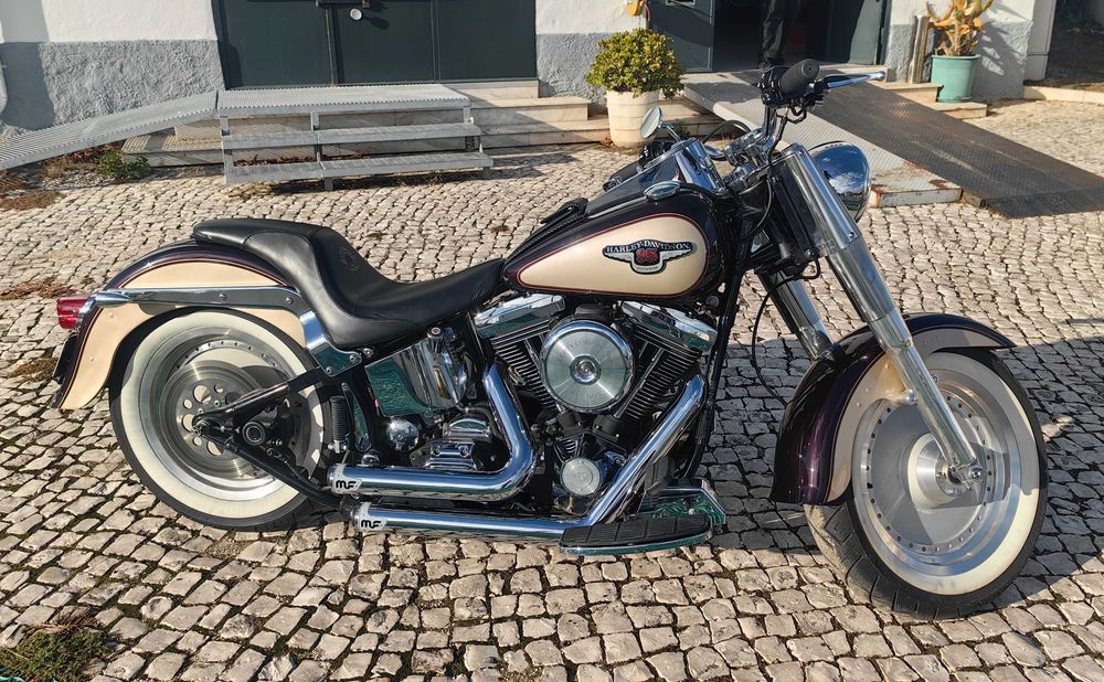 Harley Davidson Fat Boy Evolution 95Th anniversary