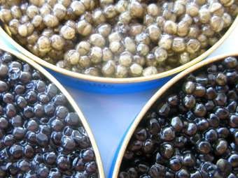 Ікра червона ГОСТ икра красная, черная преміум класу