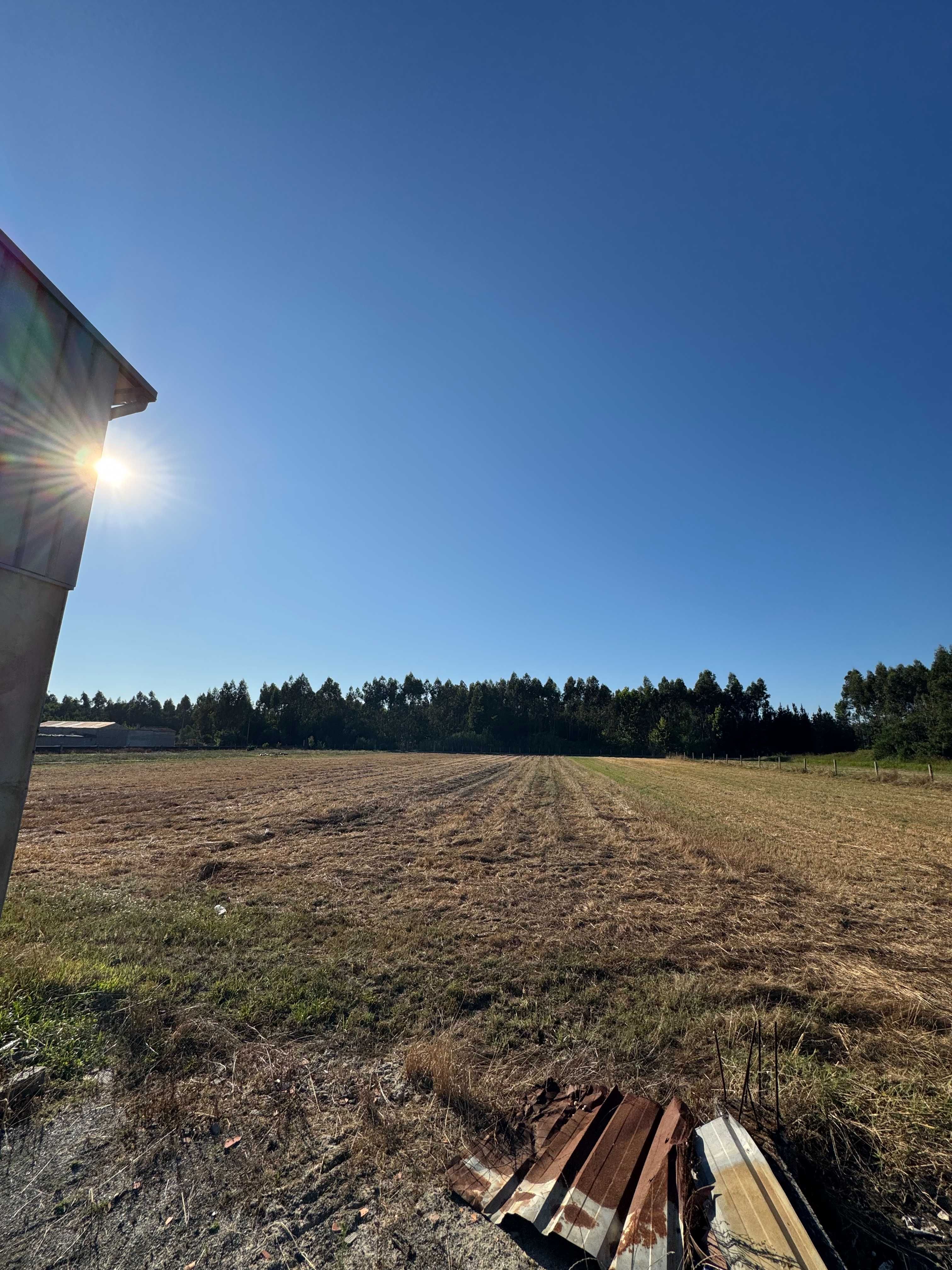 Quinta com 3 Hectares, Armazém e Copa
