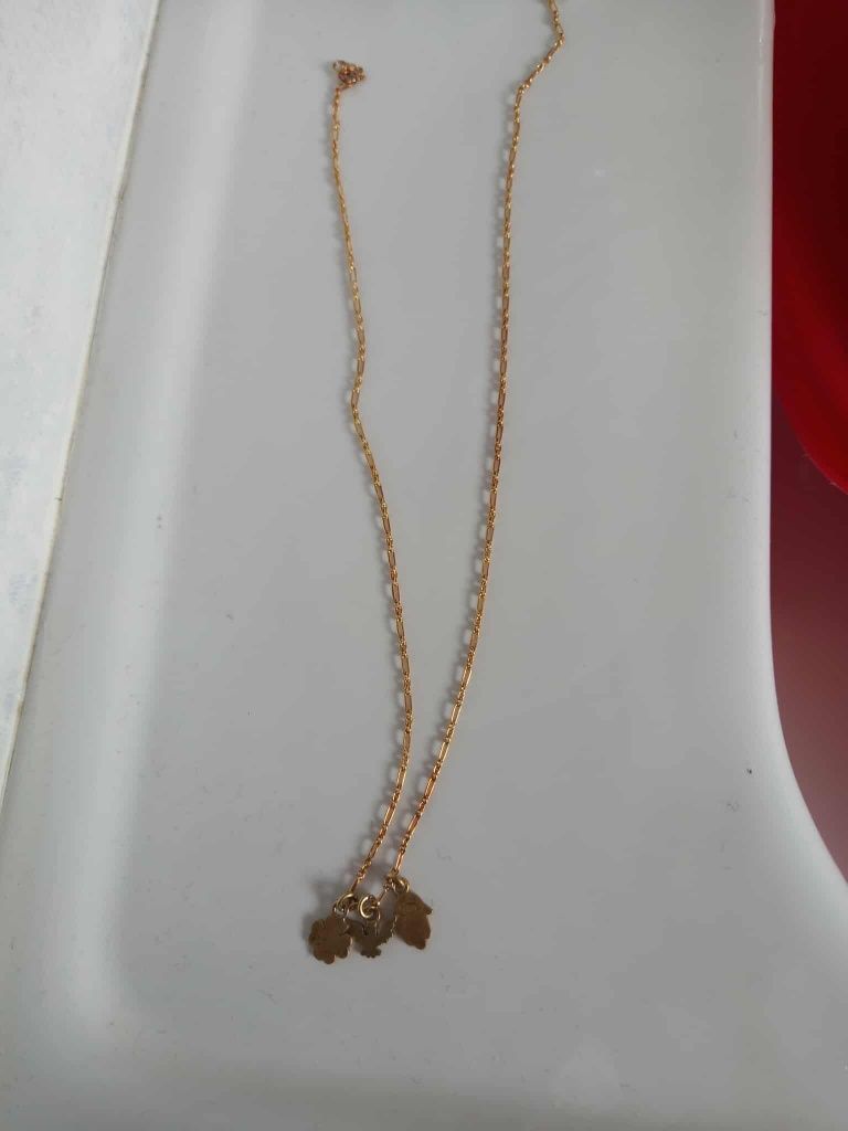Fio  em Ouro  com 3 medalhas em Prata
