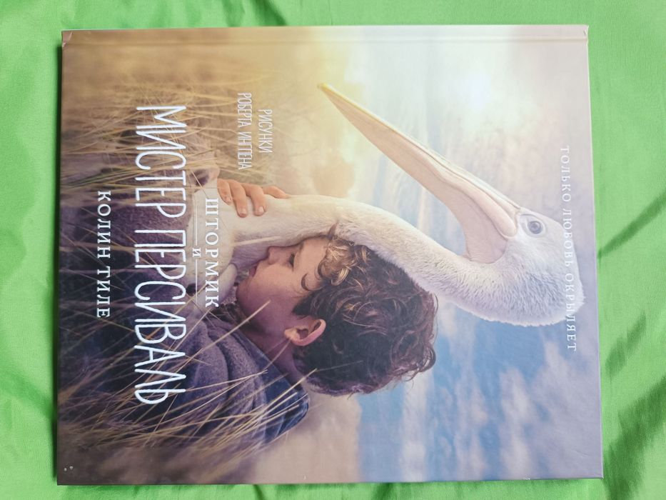 Ингпен Колин Тиле Штормик и Мистер Персиваль