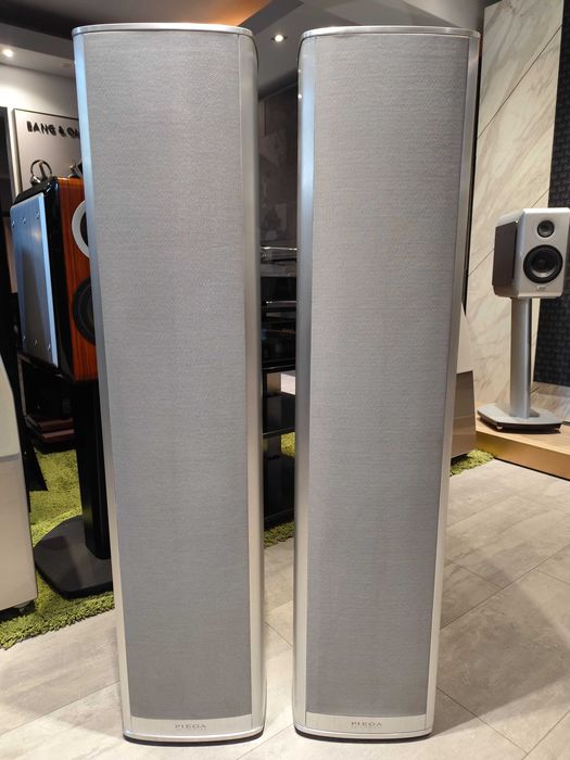 umów się na odsłuch
Piega Coax 811 srebrny OUTLET