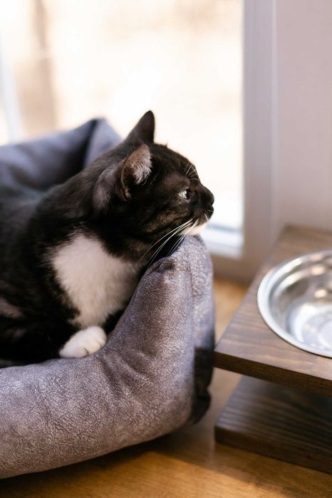 АКЦІЯ доставка 000 грн! Лежанка для тварин, лежак для котів дешево