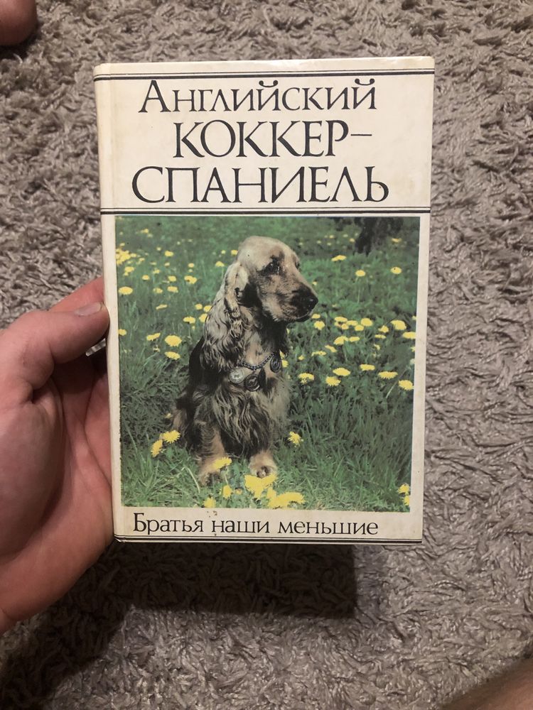 Продвм книну Английский Коккер-спаниель